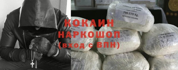 PSILOCYBIN Дмитров