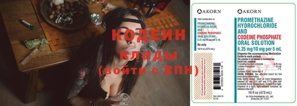 хмурый Дмитровск