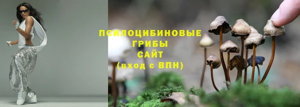 хмурый Дмитровск