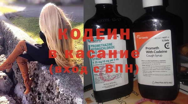 хмурый Дмитровск