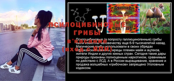 PSILOCYBIN Дмитров