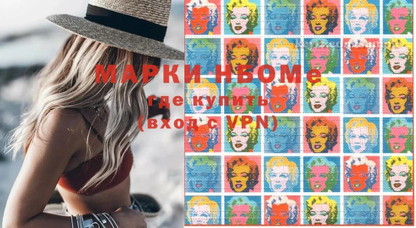 хмурый Дмитровск