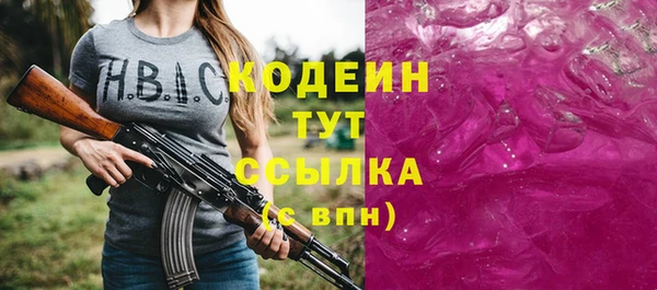 хмурый Дмитровск