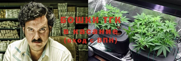 амф Дмитриев
