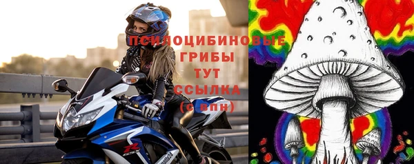 PSILOCYBIN Дмитров